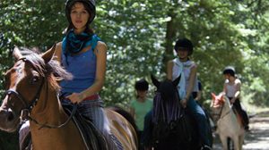 Equitation et anglais